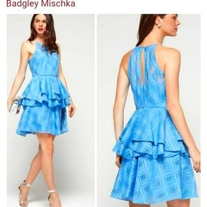 Badgley Mischka  Bianca  Pretty Dress